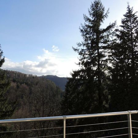 Gite Esperanza Spa Et Sauna Haselbourg Exteriér fotografie