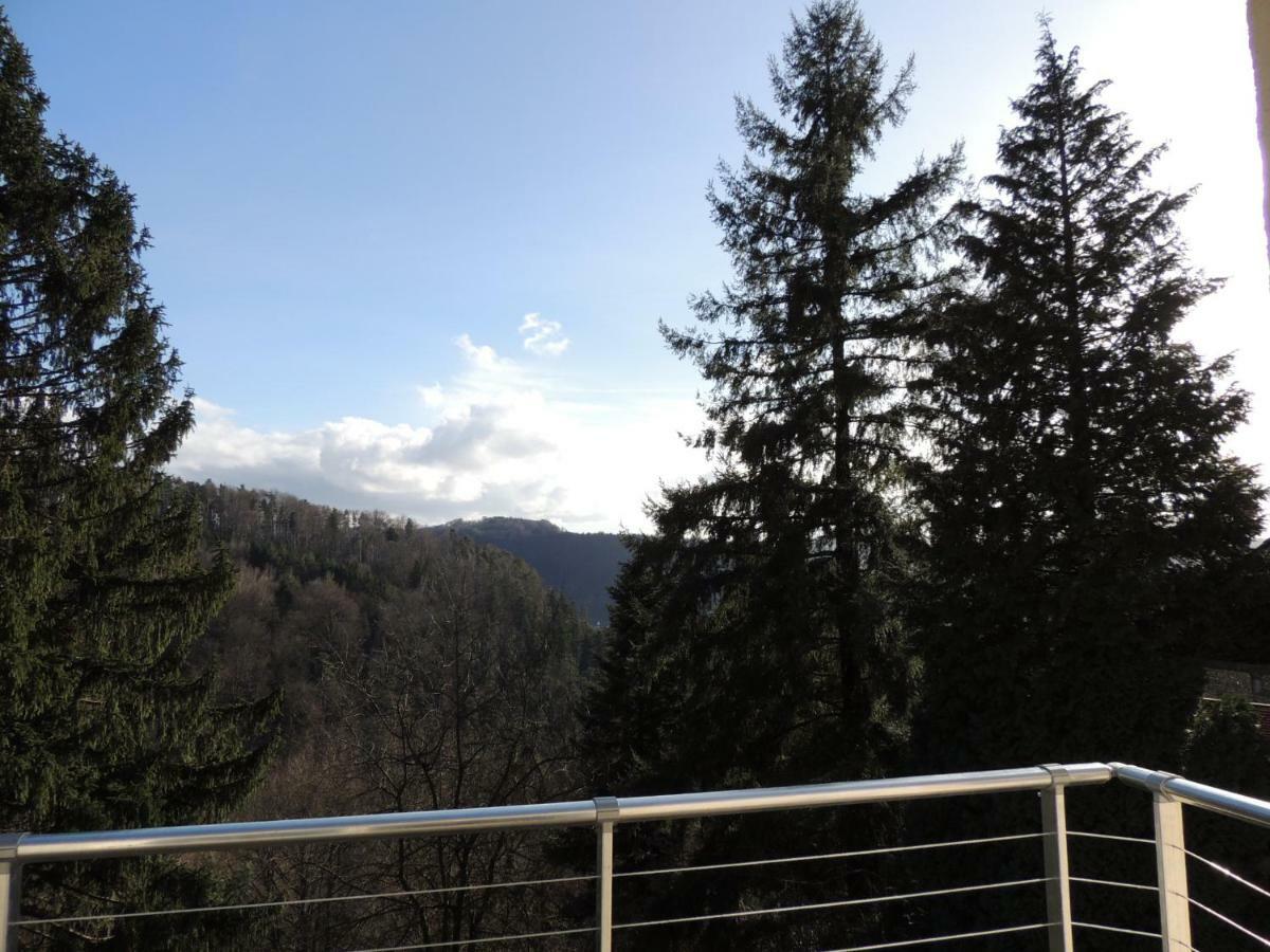 Gite Esperanza Spa Et Sauna Haselbourg Exteriér fotografie